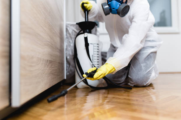 Best Mosquito Control Services  in Lake City, FL