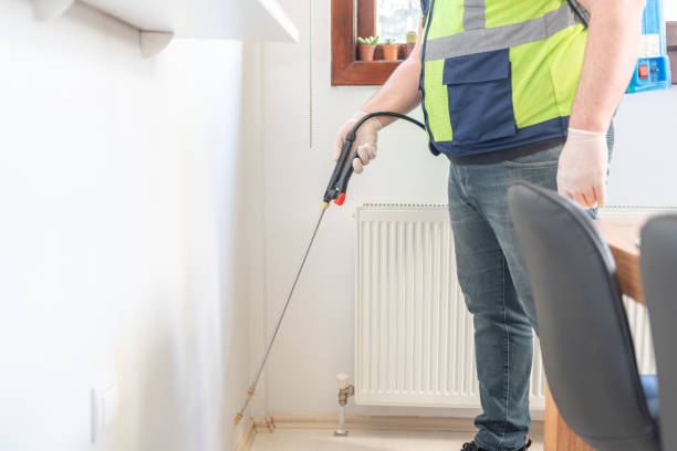 Best Flea Control Services  in Lake City, FL